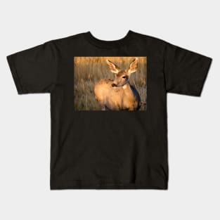 Mule Deer in Afternoon Light Kids T-Shirt